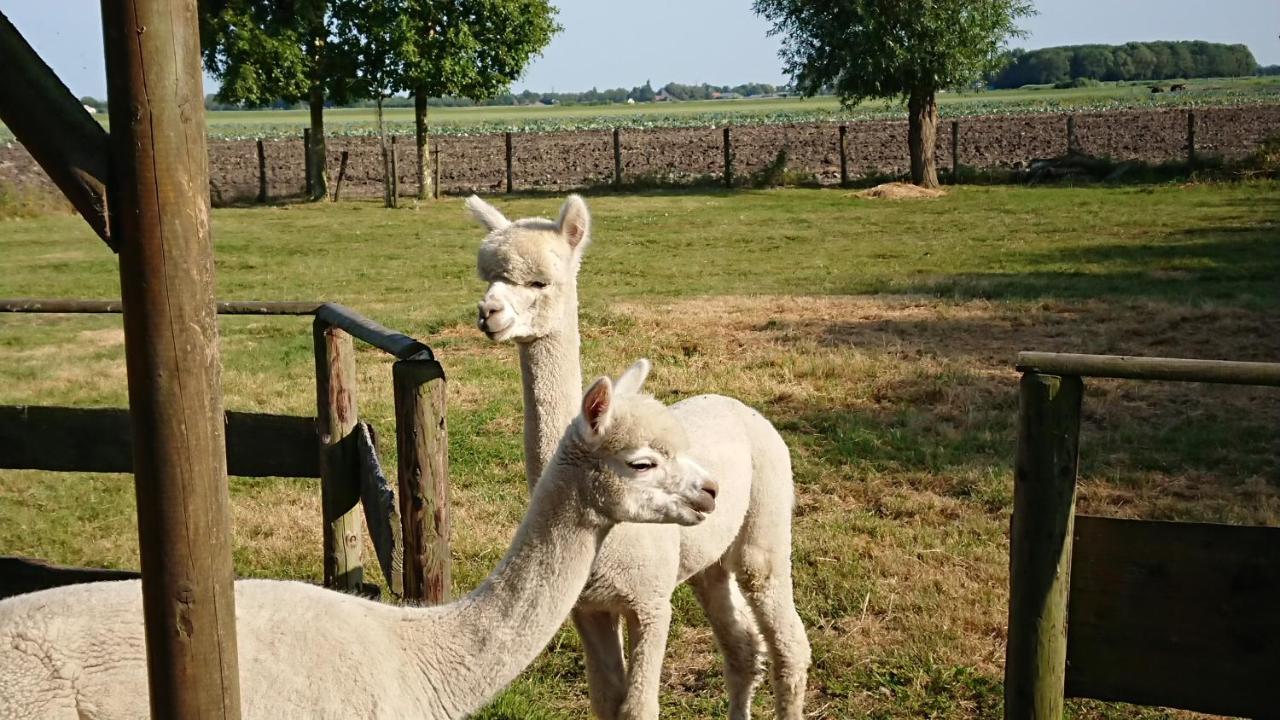 B&B Zusenzomer Oostwoud Exterior foto